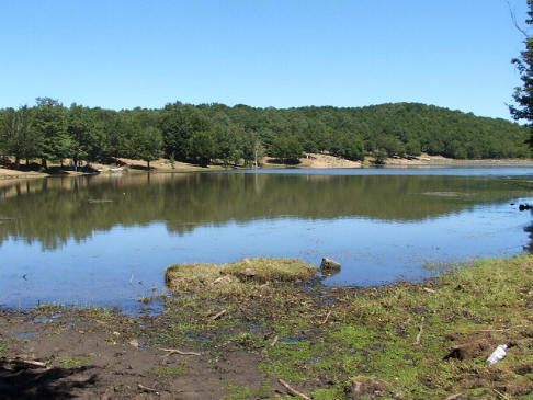 Parco dei Nebrodi - Lago Maulazzo - Comune di Alcara Li Fusi