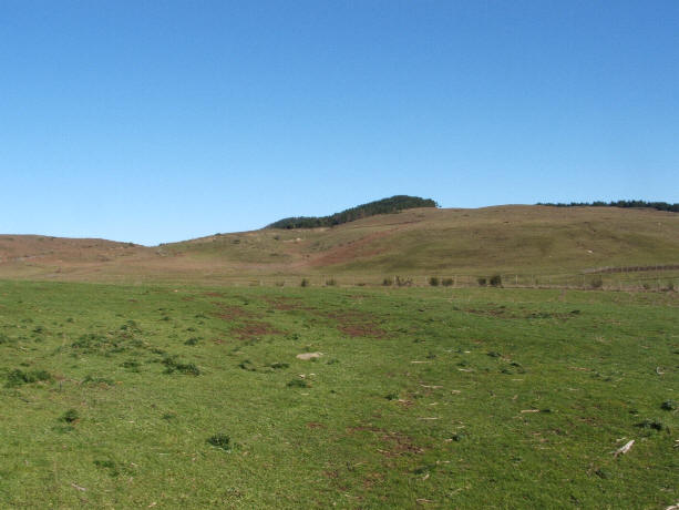 Praterie nel Parco dei Nebrodi (Sicilia)