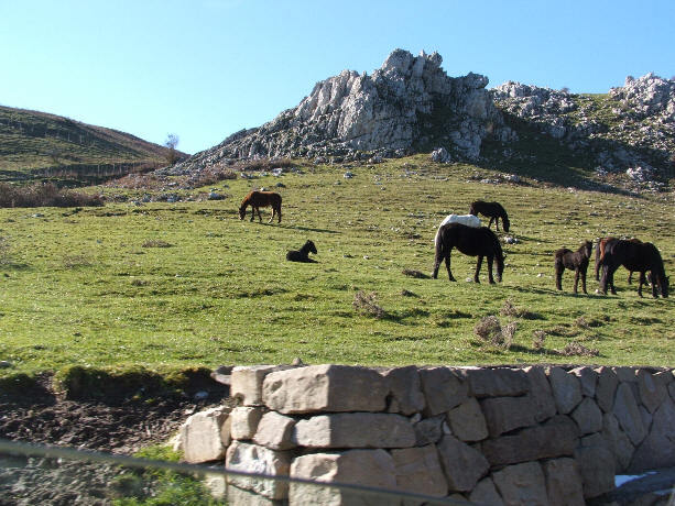 Parco dei Nebrodi - Rocche del Crasto - Comune di Alcara Li Fusi - Messina Sicilia